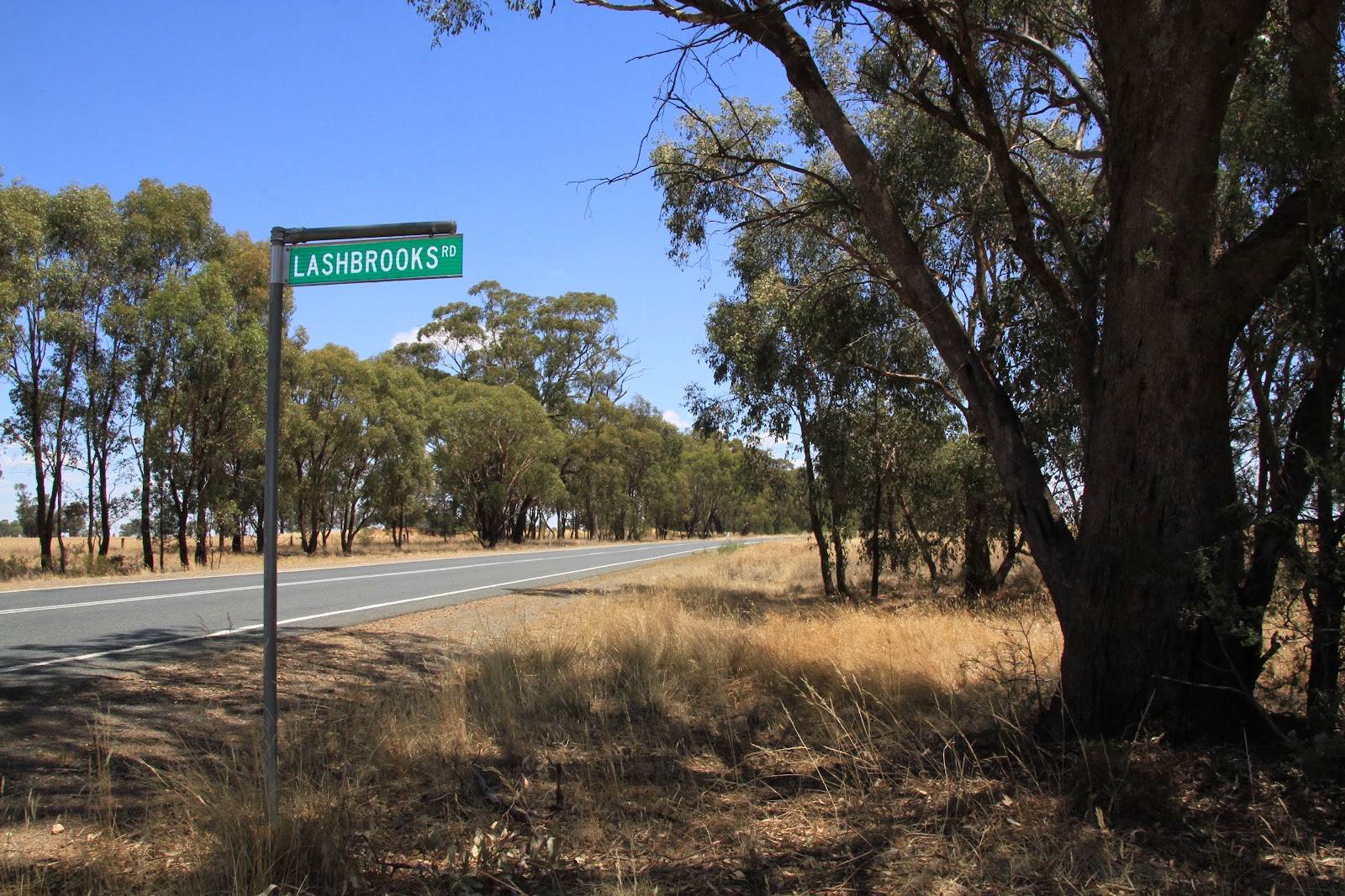 Ice delivery in Collingullie