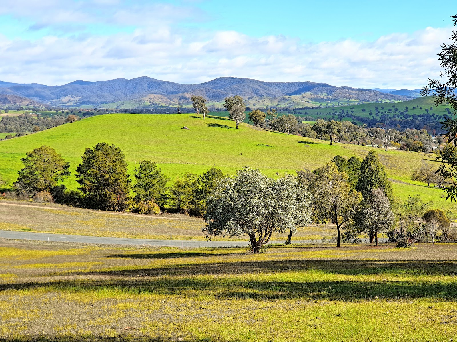 Ice delivery in Corryong