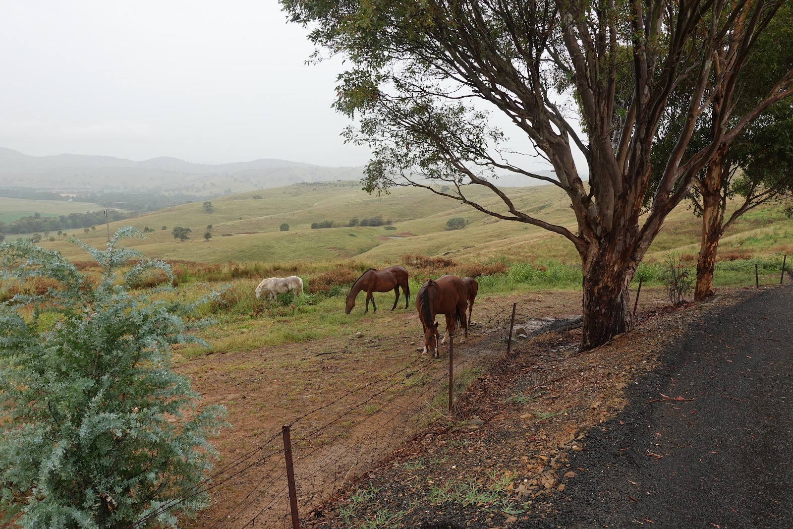 Ice delivery in Gundagai
