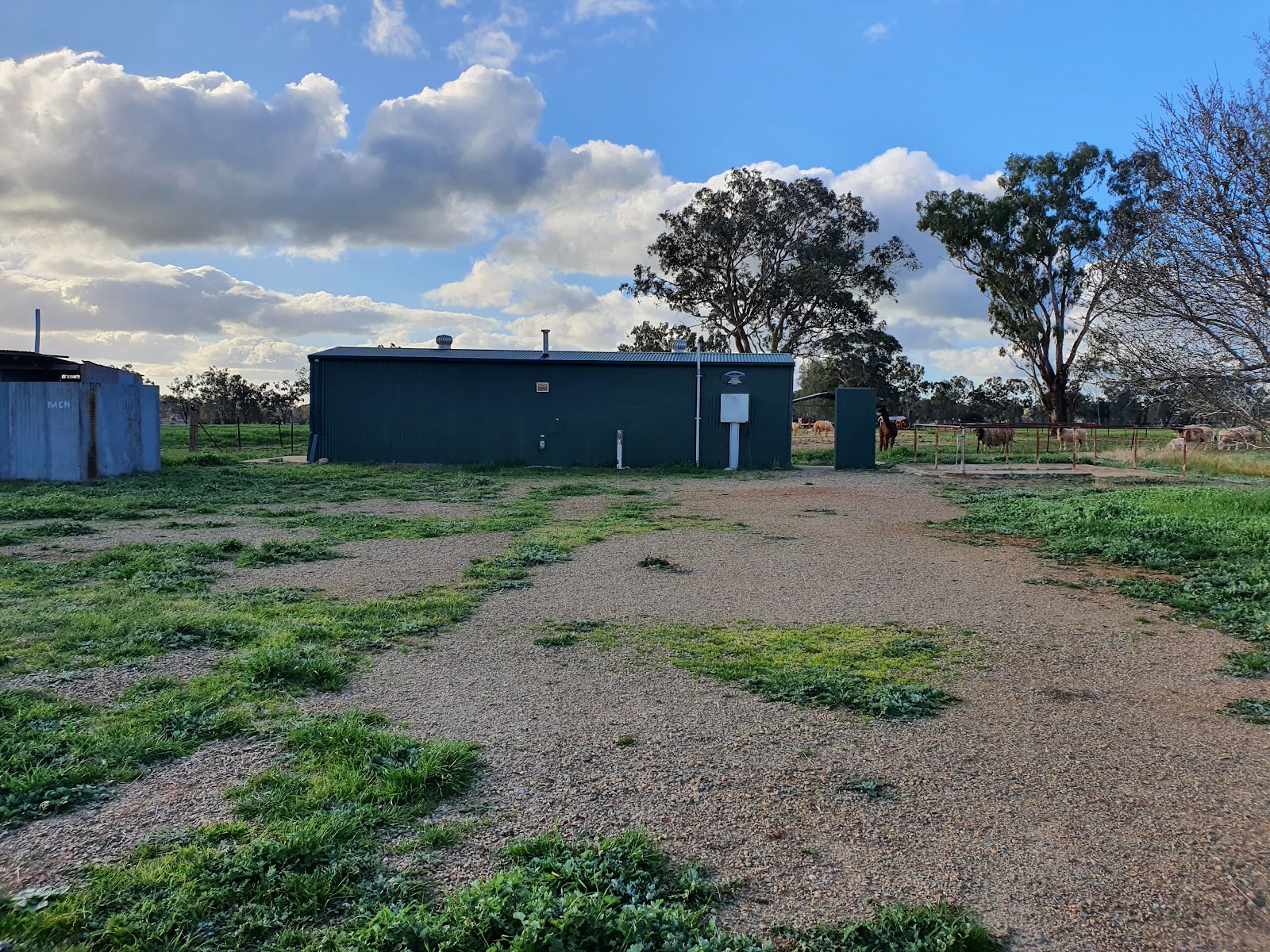 Ice delivery in Marrar