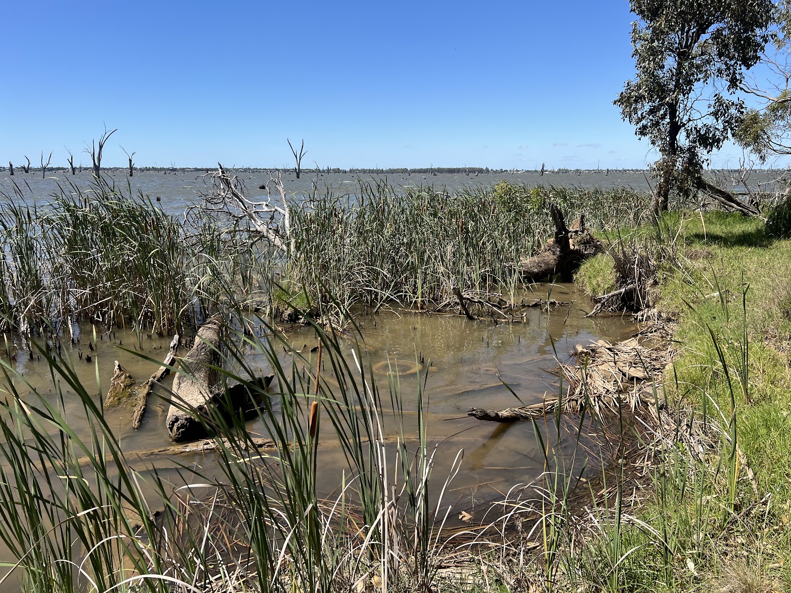 Ice delivery in Mulwala
