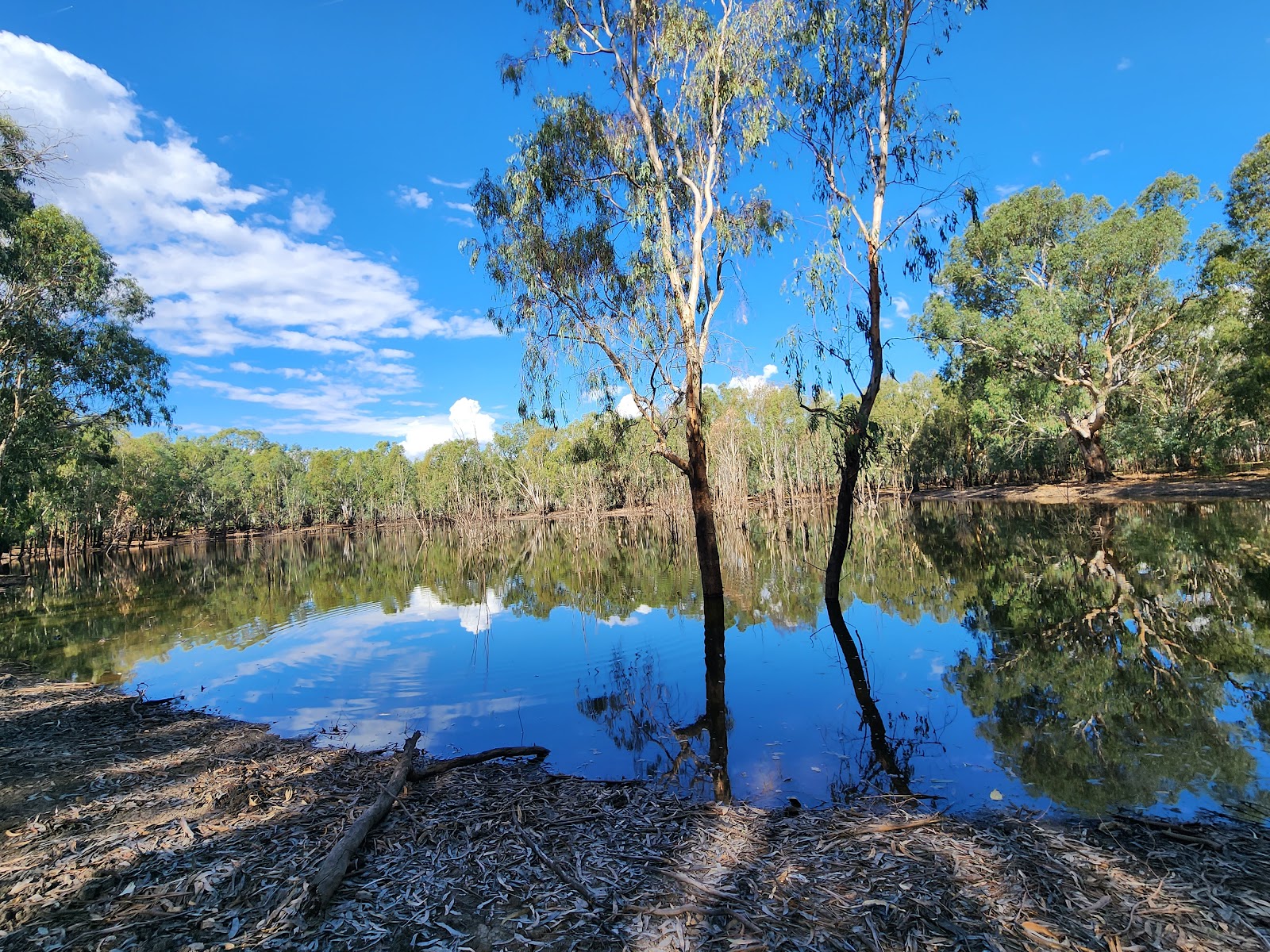 Ice delivery in Narrandera