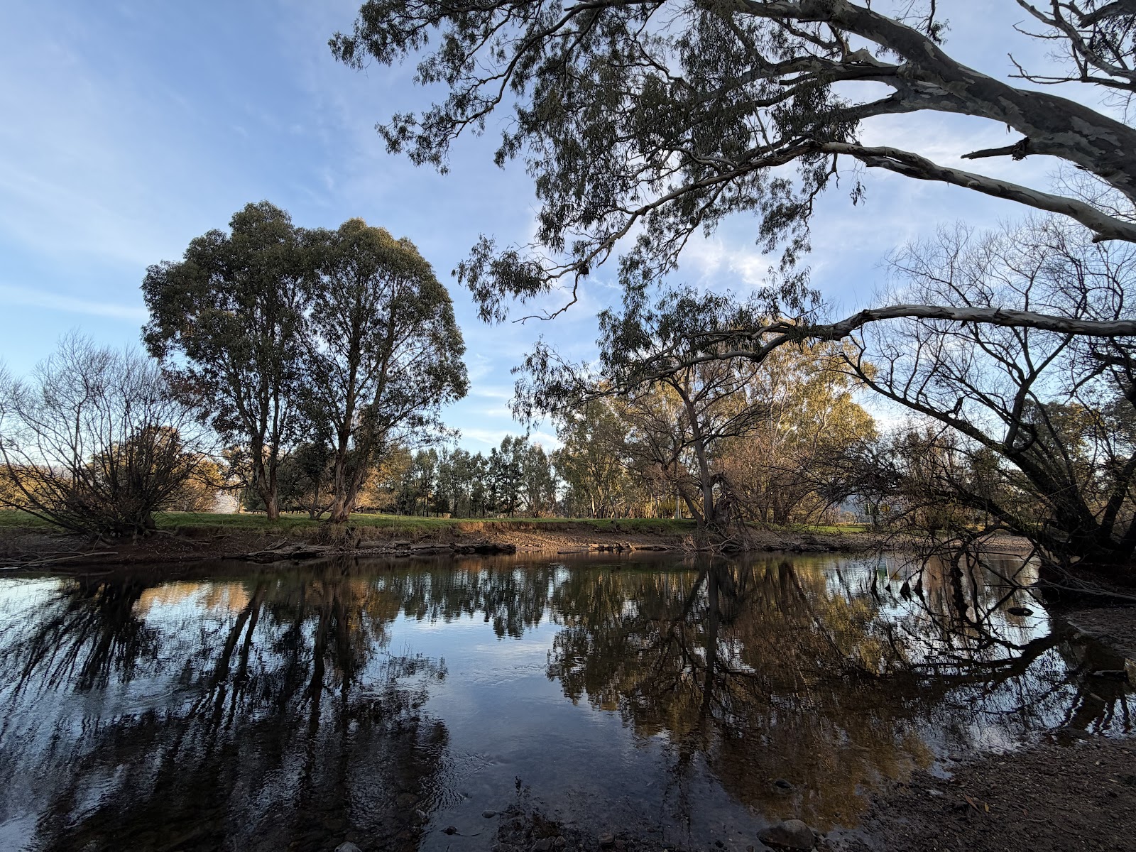 Ice delivery in Tumut
