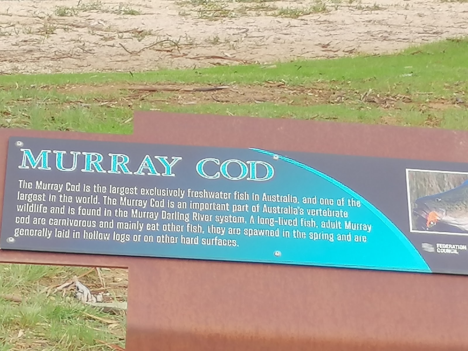 Ice delivery in Urana